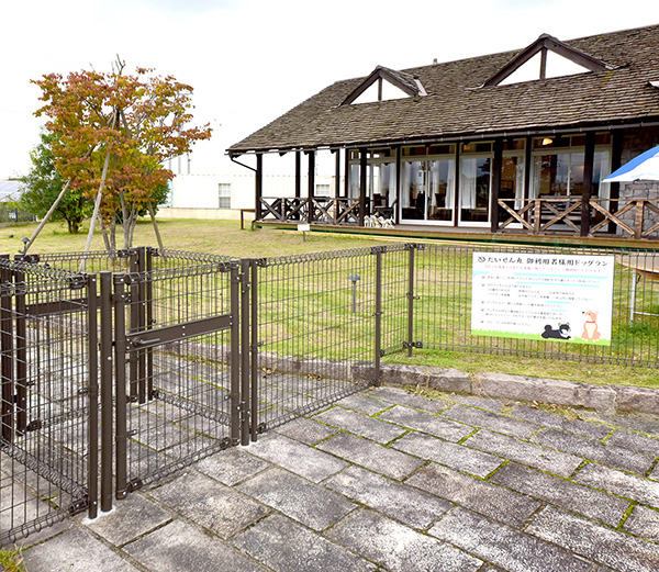 だいせん丸ギャラリー